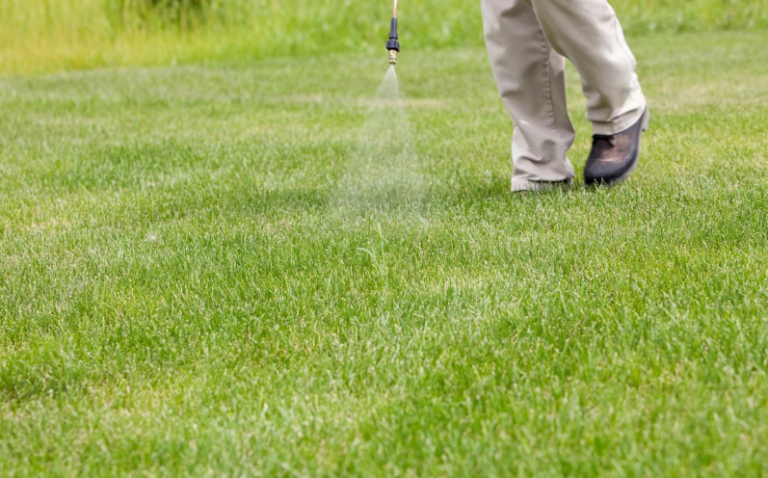 Ultimate Bermuda Grass Care Guide – Home and Gardens