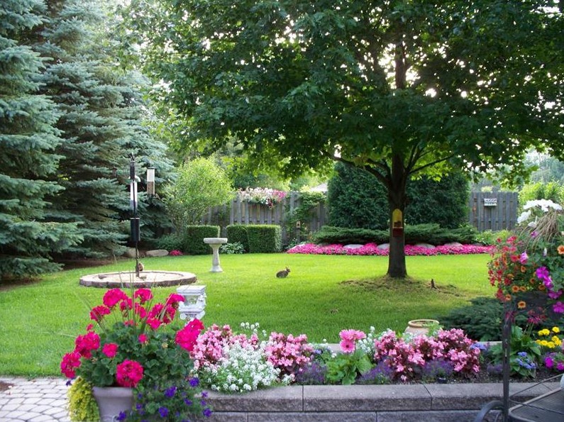 beautiful backyard with flowers