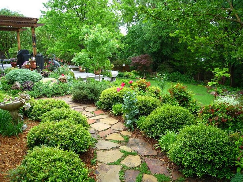 best beautiful backyard