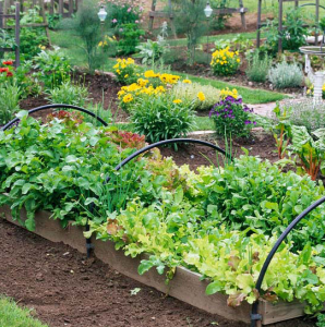 65+ DIY Elevated Garden Beds You Can Build in a Day – Home and Gardens