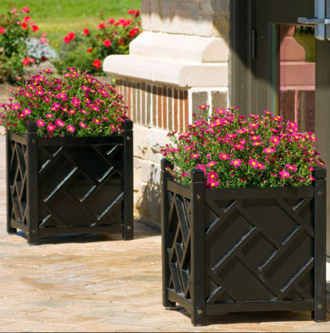 Bold Porch Planter Ideas with Pink Flowers