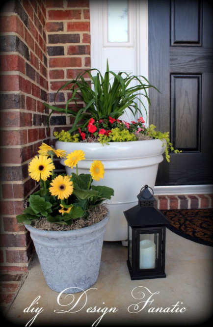 Large Planters with Greens and Gerbera Daisies