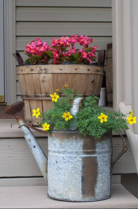 Pink and Yellow Flowers in a Barrel and Watering Cans
