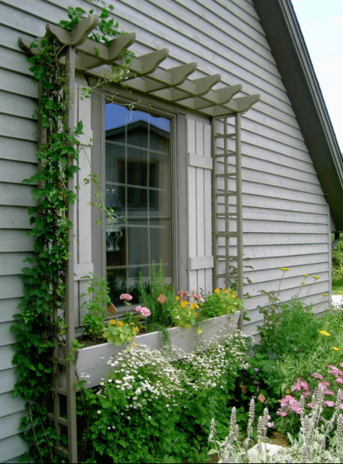 Window Flower Trough With Lattice Frame