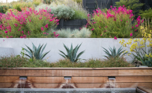 Built-In Planters with Water Feature