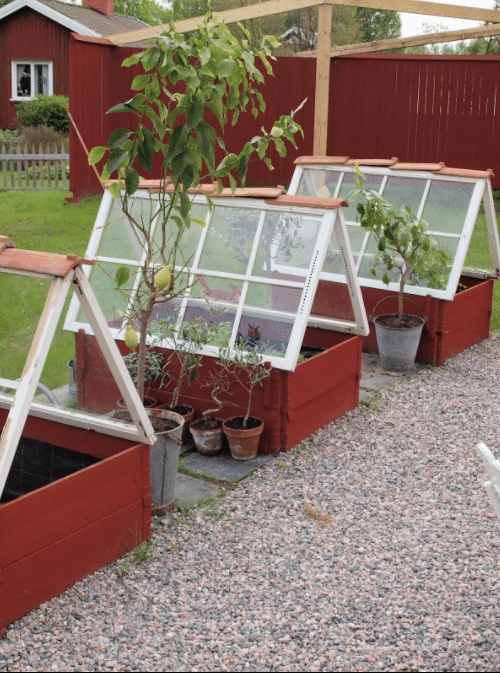 Make Cold Frames with Old Windows