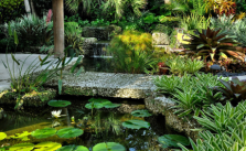 Tropical Garden Design Ideas 6