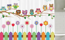 Cute Country Owls Design