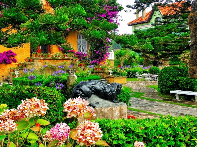 garden design ideas - Hydrangea Blooms